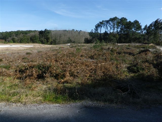 Land with 2590sqm Monte Redondo Leiria - electricity, mains water, water, easy access