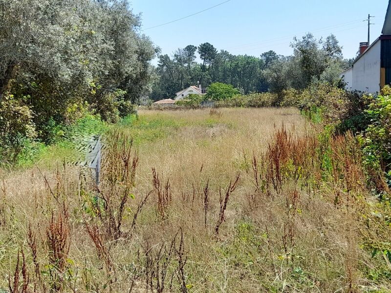 Terreno plano Ilha Pombal - bons acessos, viabilidade de construção, electricidade, água da rede