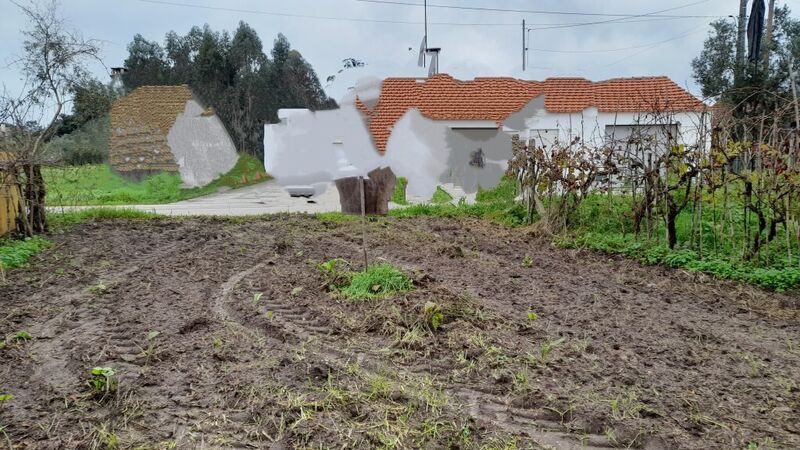 Terreno plano Ilha Pombal - bons acessos, viabilidade de construção, electricidade, água da rede