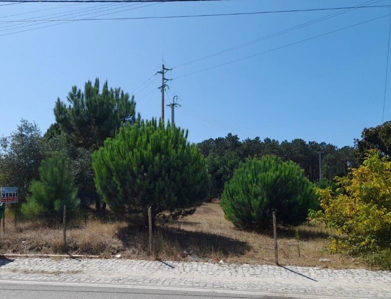 Terreno Urbano plano Monte Redondo Leiria - bons acessos, electricidade, água da rede