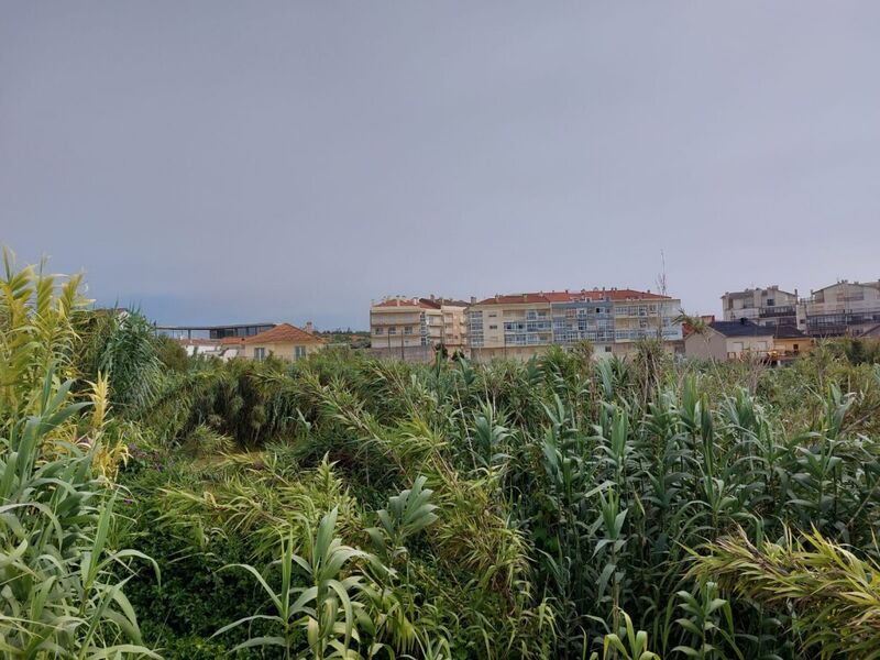 Terreno Urbano com 5300m2 Praia do Pedrógão Coimbrão Leiria - vista mar, bons acessos, electricidade, água da rede