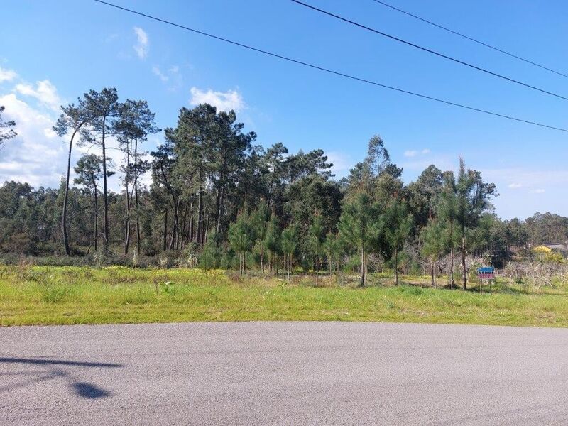 Terreno plano Bajouca Leiria - electricidade, bons acessos, viabilidade de construção, água da rede