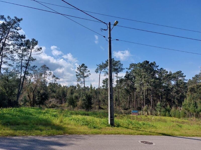 Terreno com 760m2 Bajouca Leiria - viabilidade de construção, água da rede, electricidade, bons acessos