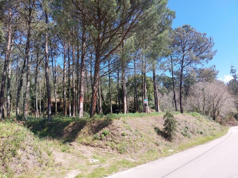 Land with 2100sqm Monte Redondo Leiria - mains water, electricity, easy access, water