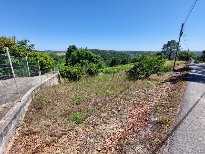 Terreno para construção Salir de Matos Caldas da Rainha - electricidade, água