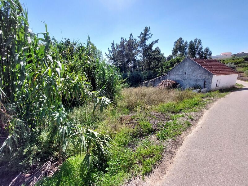 Terreno com 470m2 Salir de Matos Caldas da Rainha - água, electricidade