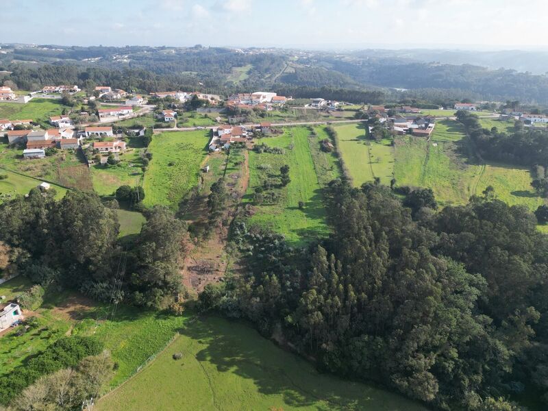 Terreno com 8547m2 Guisado Salir de Matos Caldas da Rainha - viabilidade de construção