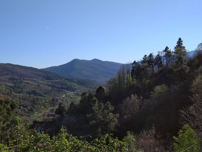 Quinta V0 Famalicão Guarda - água, luz, árvores de fruto