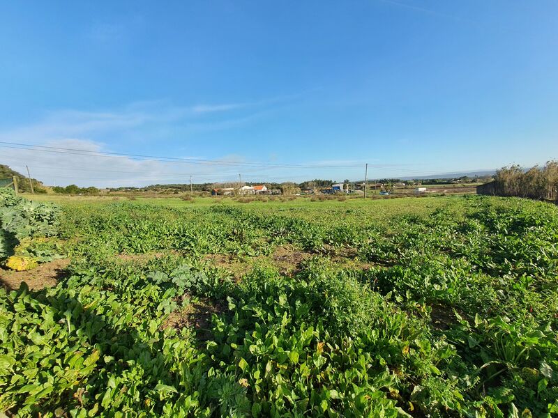 земля c 1162m2 Serra do Bouro Caldas da Rainha