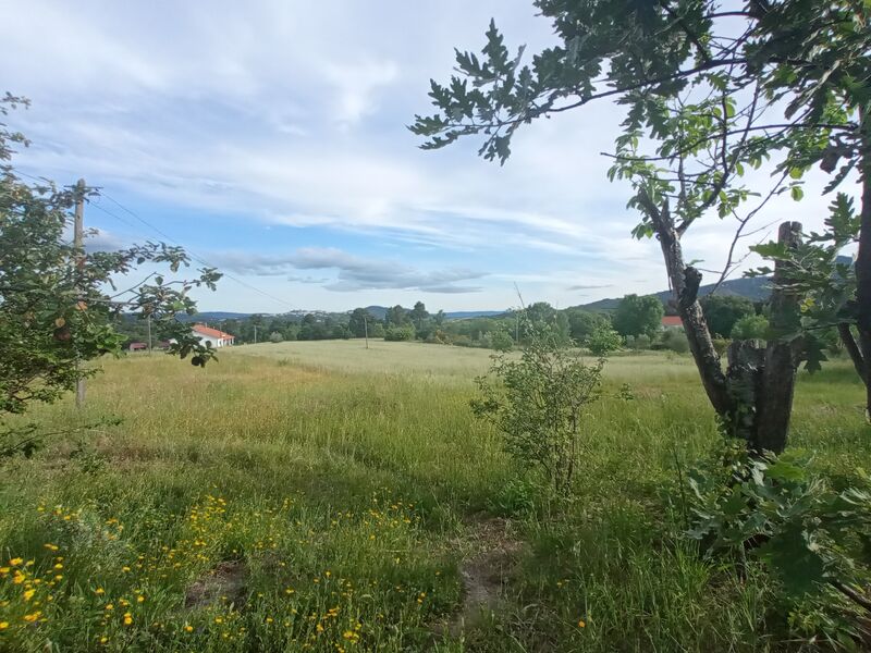 Small farm with house V2 Gonçalo Guarda - tank, water, good access, electricity, terrace, terraces, electricity, fruit trees