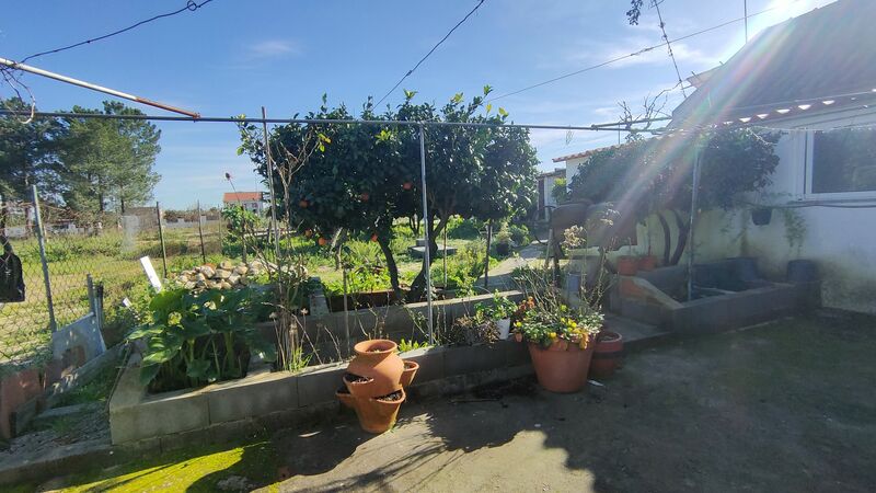 Lote de terreno com 315m2 Pinhal das Formas Quinta do Anjo Palmela - árvores de fruto