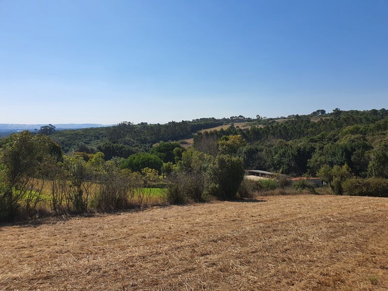 Terreno com 656m2 Caldas da Rainha