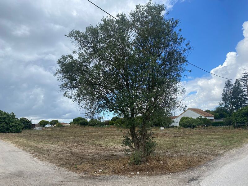 Terreno para construção Pegões Montijo - poço