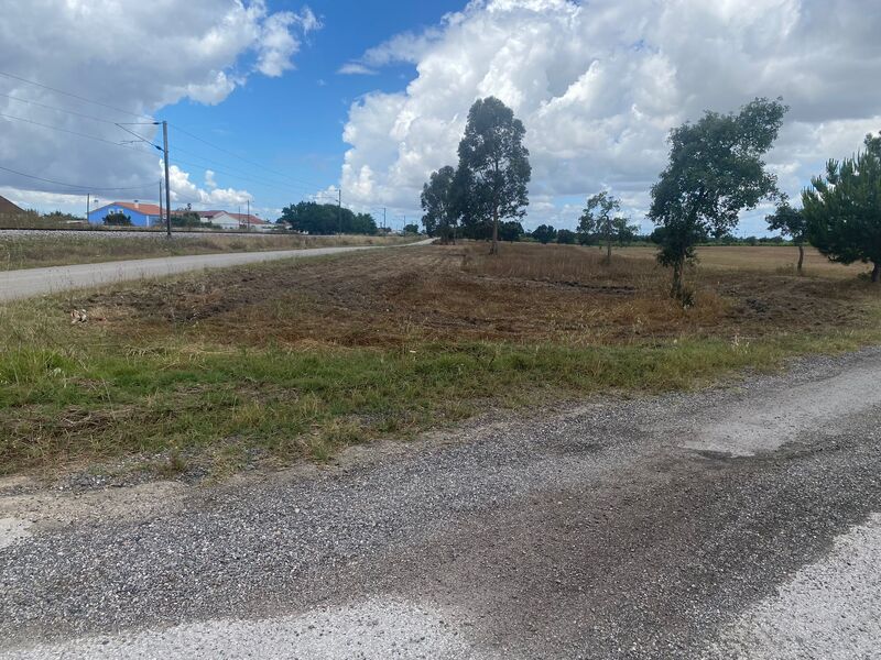 Terreno Rústico com 277500m2 Pegões Montijo - sobreiros