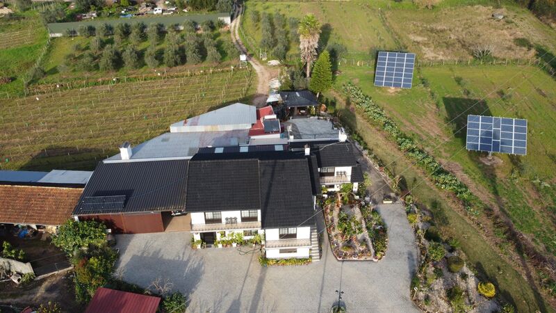 Farm with house V4 Vacariça Mealhada - alarm, fruit trees, double glazing, barbecue, olive trees, water hole, equipped, automatic gate, fireplace, terrace, water, balcony, electricity, kitchen, solar panels, garage, haystack, solar panels