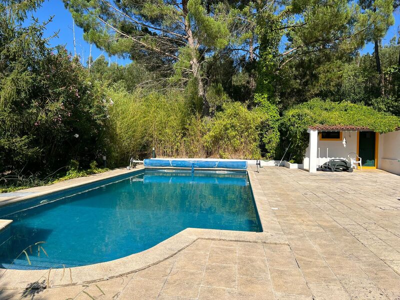 Farm 6 bedrooms Monte Penedo Mação - fruit trees, water hole, very quiet area, central heating, garage, swimming pool