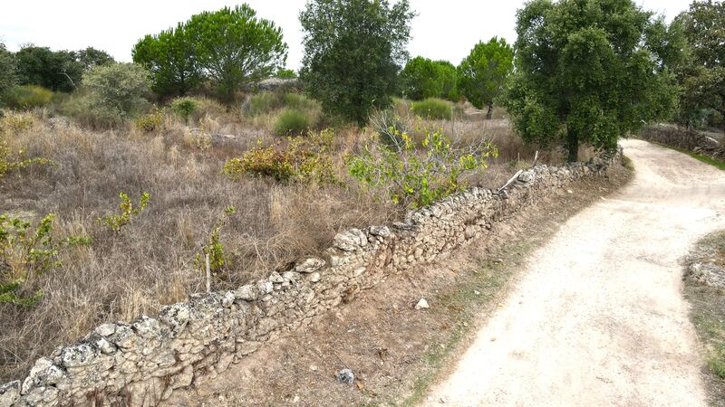 Terreno Rústico com 13000m2 Alpalhão Nisa - oliveiras, árvores de fruto, água, cultura arvense