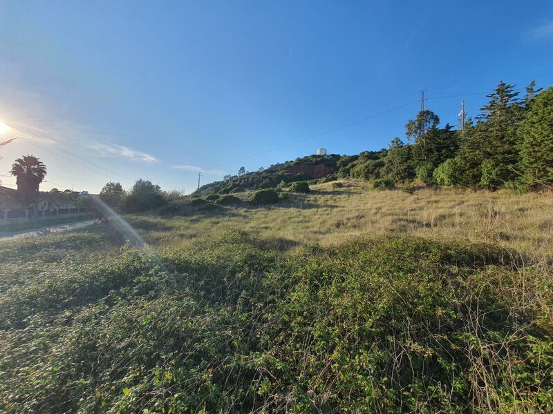 Land with 4640sqm A-da-Gorda Óbidos