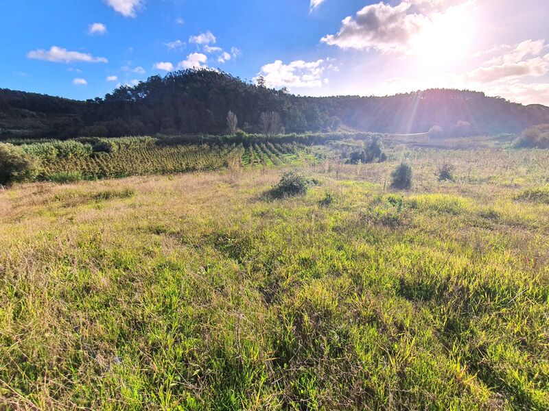 Terreno Urbano com 4048m2 Salir de Matos Caldas da Rainha