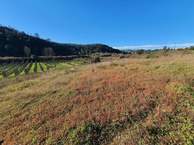 Terreno Urbano com 4048m2 Salir de Matos Caldas da Rainha