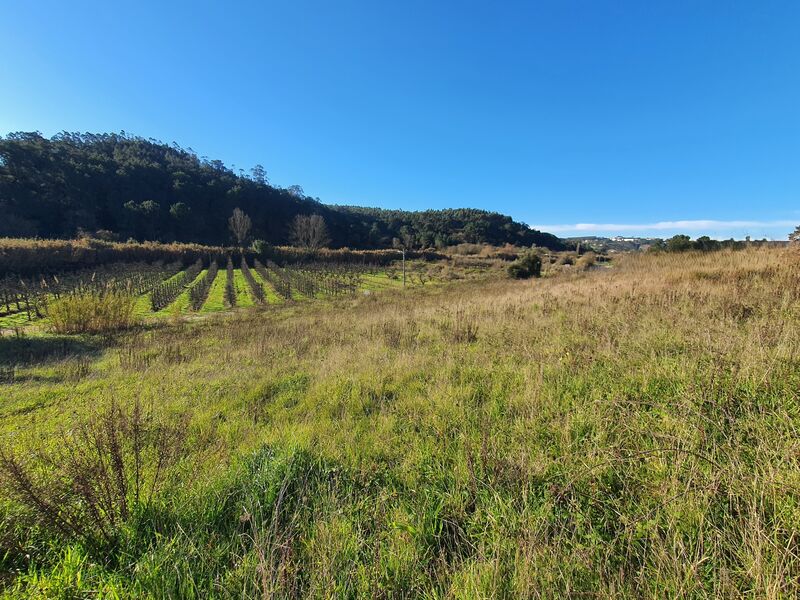 Terreno Urbano com 4048m2 Salir de Matos Caldas da Rainha