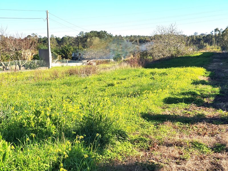 Land flat Gaeiras Óbidos