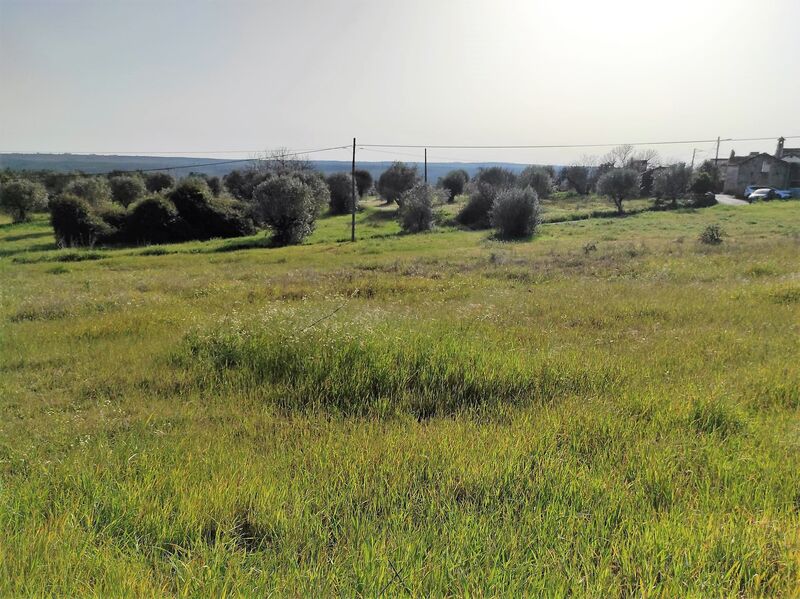 Land with 4160sqm Mouriscas Abrantes - construction viability