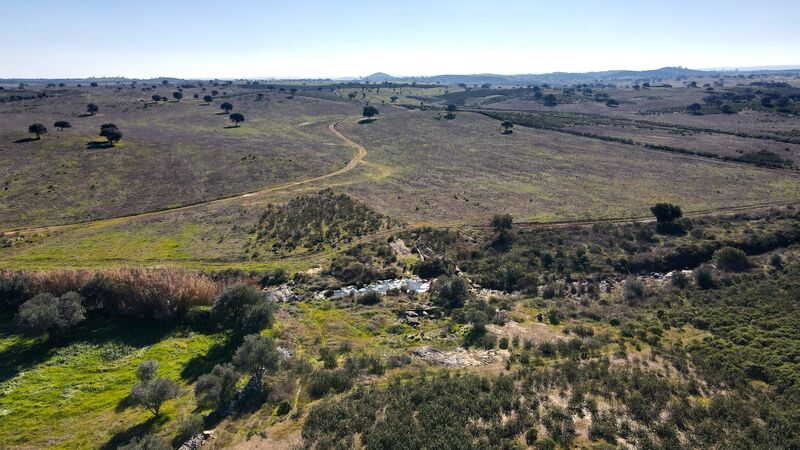 земля c 49000m2 Santa Cruz Almodôvar - полеводство, возможность строительства, вода, электричество