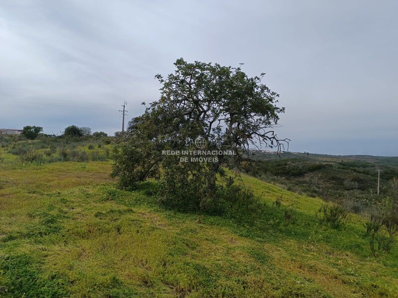 Land nouvel with 34500sqm Sentinela Azinhal Castro Marim - electricity, water, easy access