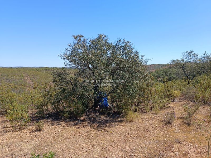 Land new with 34700sqm Choça Queimada Odeleite Castro Marim - electricity, water, easy access