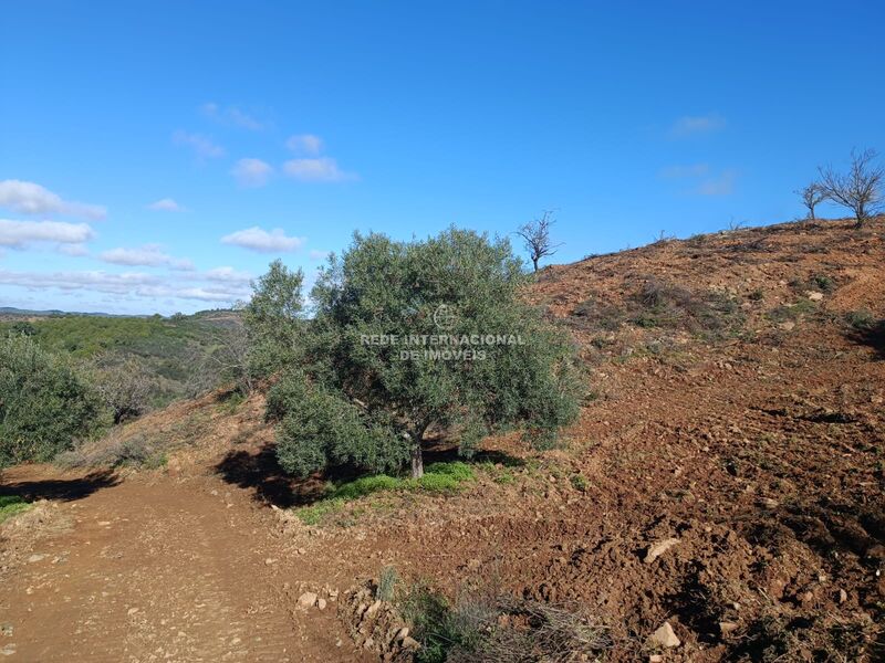 Land Rustic with 31200sqm Fernão Gil Odeleite Castro Marim - water, easy access, olive trees, electricity