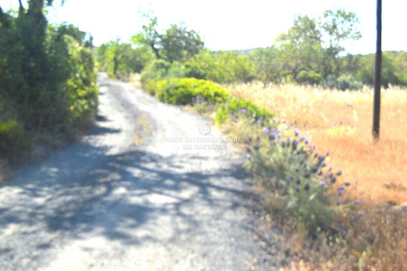 Land Rustic flat Santa Catarina da Fonte do Bispo Tavira - electricity, olive trees, excellent access, cork oaks, water hole, water