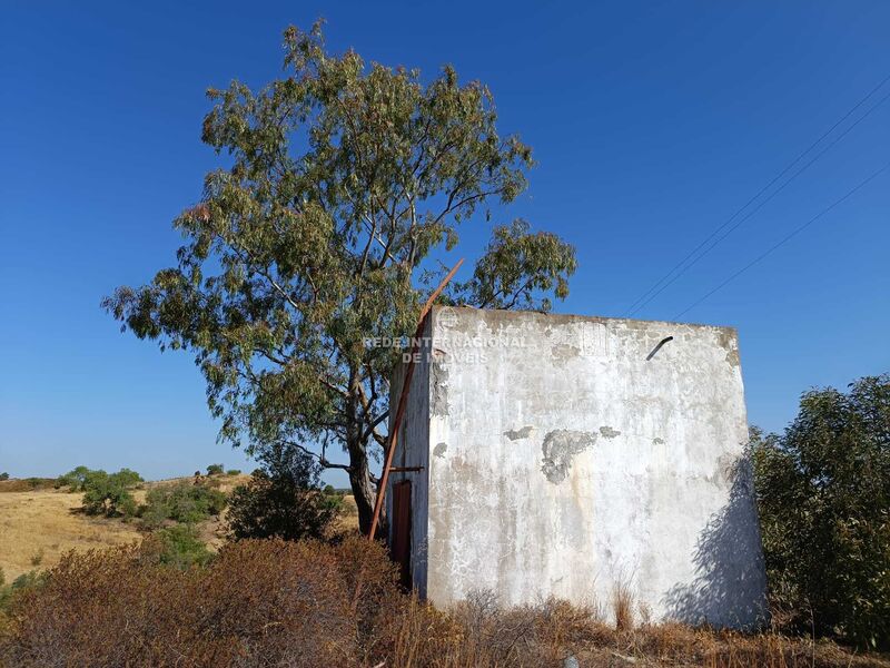 Terreno Rural Malhão Castro Marim - árvores de fruto