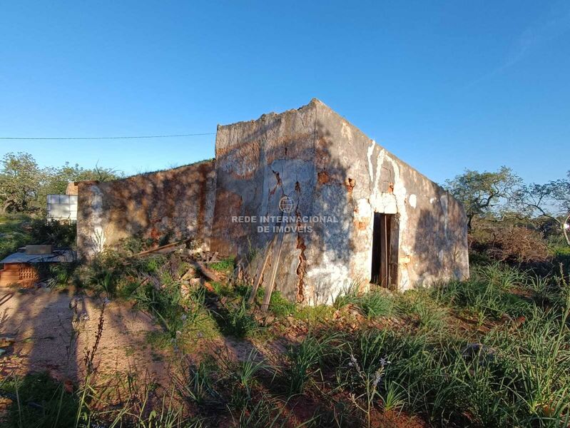 Terreno com ruína Santa Margarida Tavira - furo, bons acessos, água, electricidade