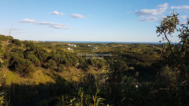 Terreno novo com 71000m2 Corte de António Martins Tavira - poço, vista mar