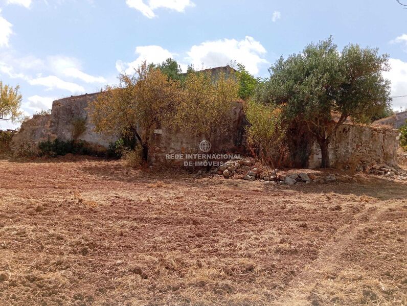 Terreno Agrícola com 1030.33m2 Santa Catarina da Fonte do Bispo Tavira - água, electricidade, sobreiros