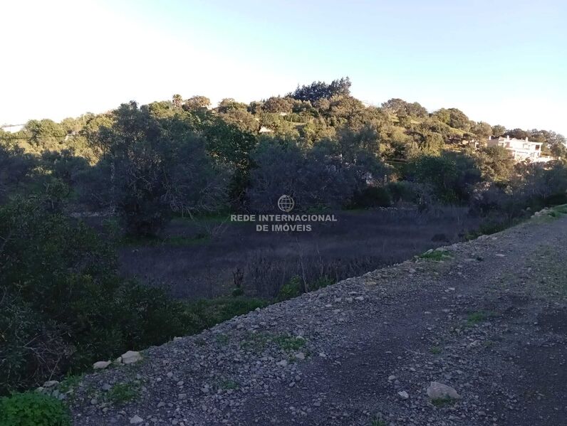 Terreno Rústico plano Mealhas São Brás de Alportel - bons acessos, electricidade, vista magnífica, água