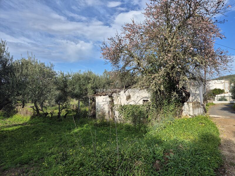 Land with 880sqm Alcoutim - water, well, construction viability, orange trees, fruit trees