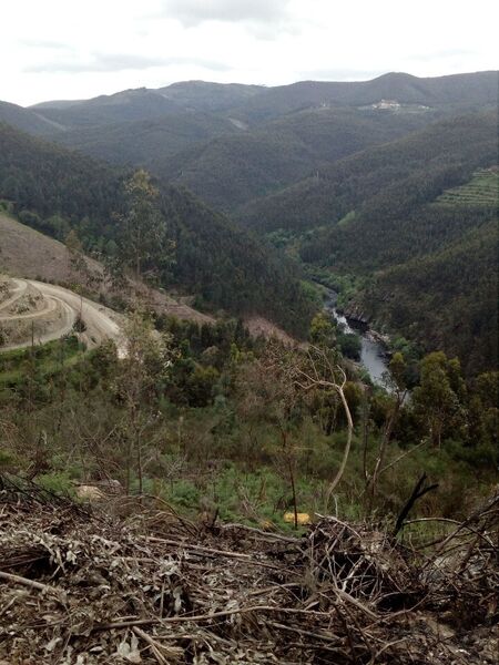 Land for construction Arouca - tank, water