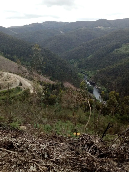 Terreno para construção Arouca - tanque, água