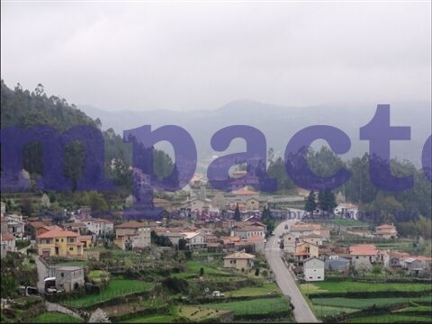 Terreno com 1000m2 São Pedro de Castelões Vale de Cambra