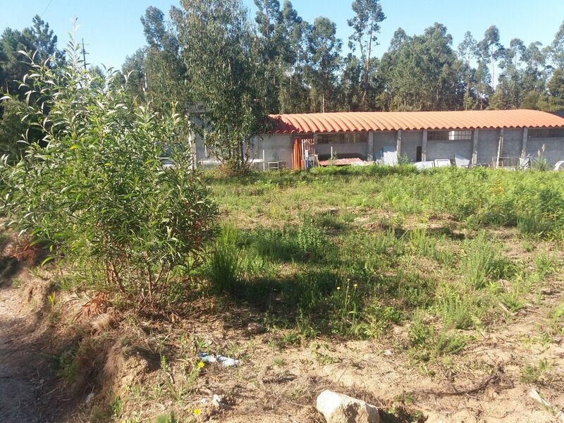 Terreno com 2100m2 Santa Maria da Feira