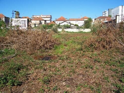 Land with 1200sqm Cortegaça Ovar