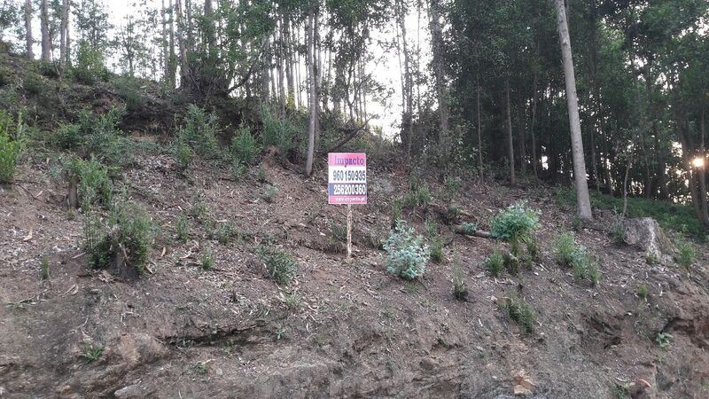 Terreno Rústico com 1020m2 Vila de Cucujães Oliveira de Azeméis