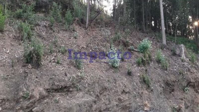 Terreno Rústico com 1020m2 Vila de Cucujães Oliveira de Azeméis