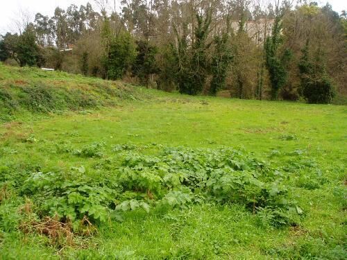 Land with 1400sqm Fornos Santa Maria da Feira