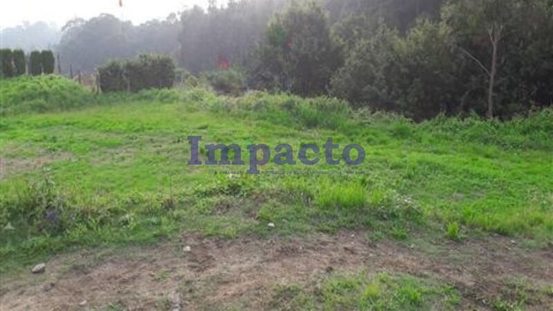 Land with 1000sqm Vila de Cucujães Oliveira de Azeméis