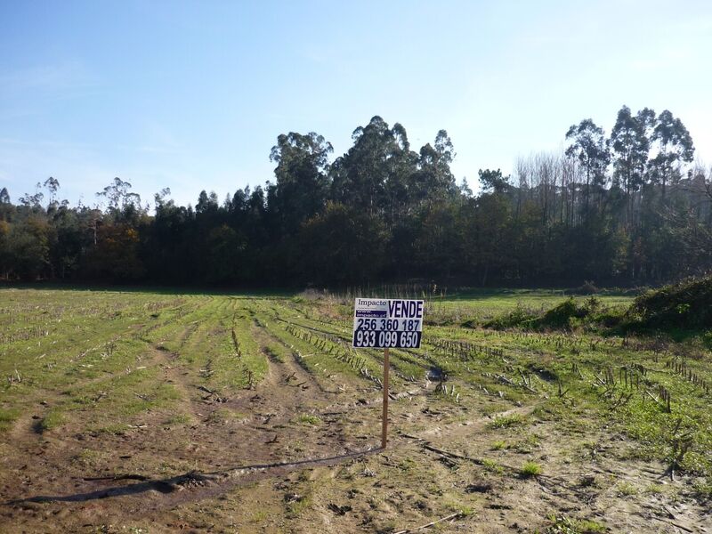 Land with 6372sqm Santa Maria da Feira