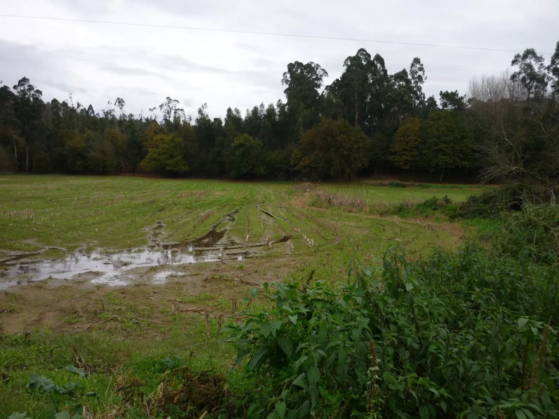 Terreno Agrícola com 6372m2 Santa Maria da Feira