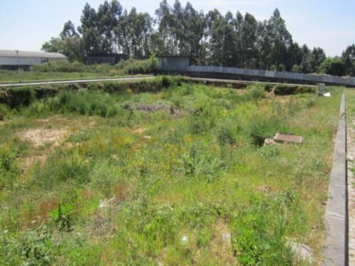 Land with 976.50sqm Escapães Santa Maria da Feira